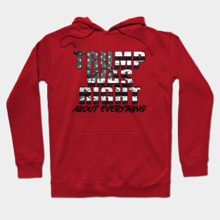 Trump Was Right About Everything Hoodie